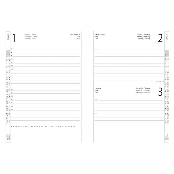 immagine-2-intempo-agenda-2024-15x21cm-alfa-assortita-ean-8029221846671