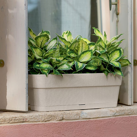 immagine-2-stefanplast-balconetta-ethica-30cm-gesso-beige-ean-8003507682009